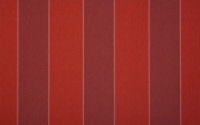 D335 Color Bloc Red - Lewens
